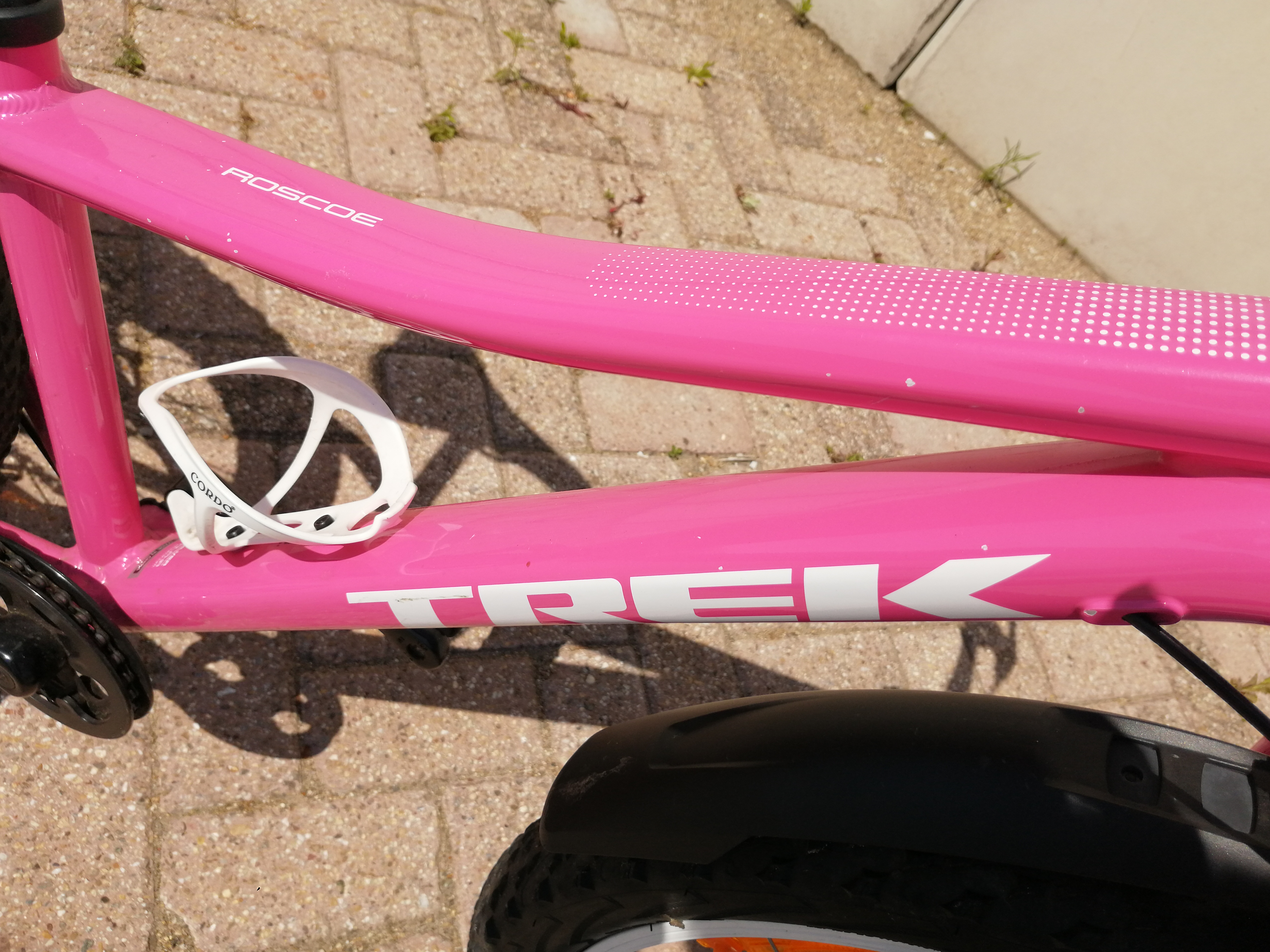BikeFair | Trek Roscoe 24