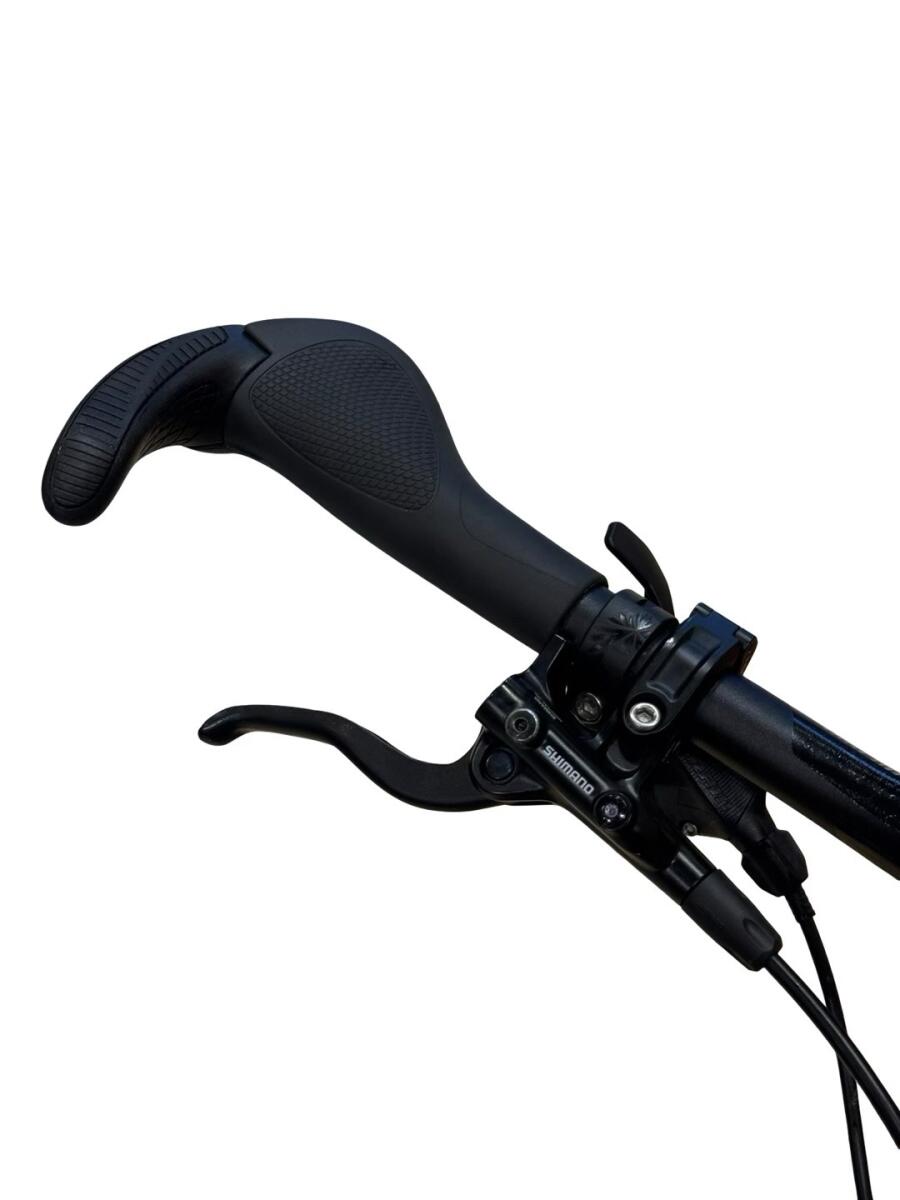 Bulls Sonic EVO TR 26 E-Mountainbike Sram SX 2021 (4)