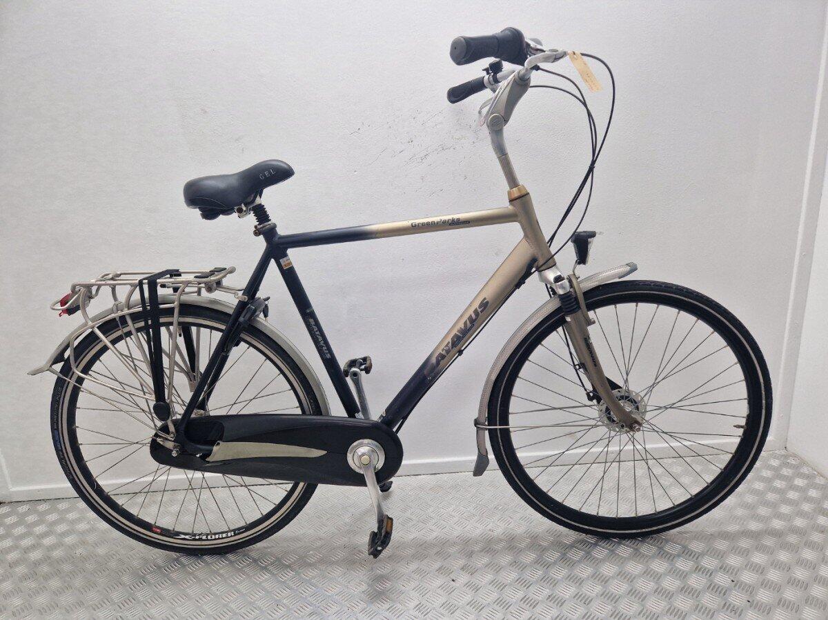 Batavus Greenparks, Shimano Nexus, blue