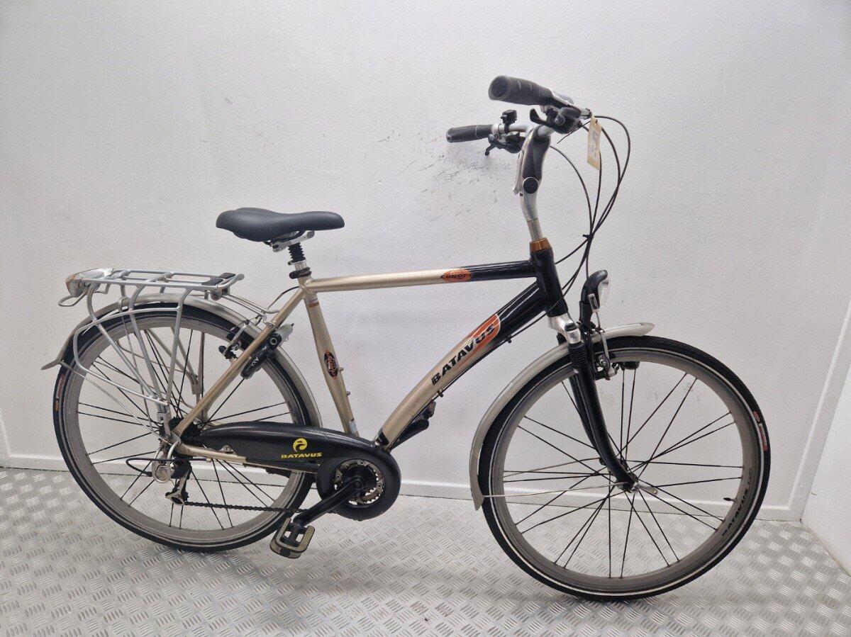 Batavus Europe, grey/metal