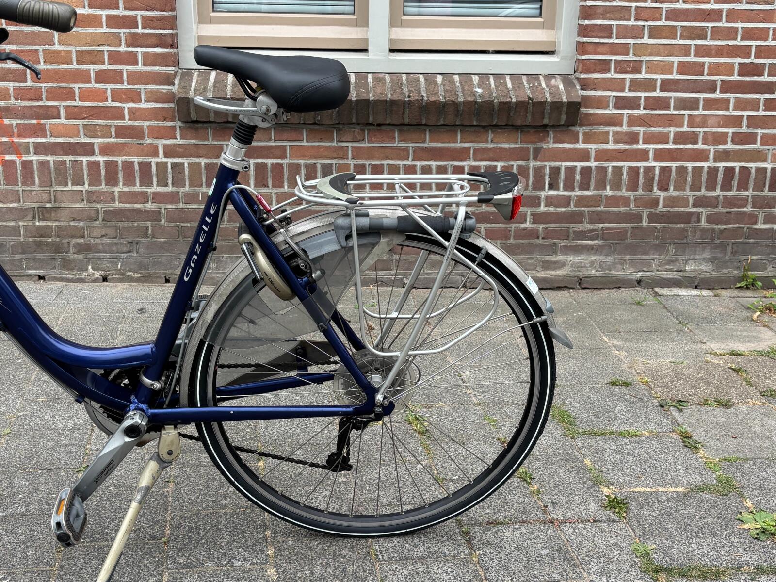 Blue Gazelle Lausanne Gold Line (4)