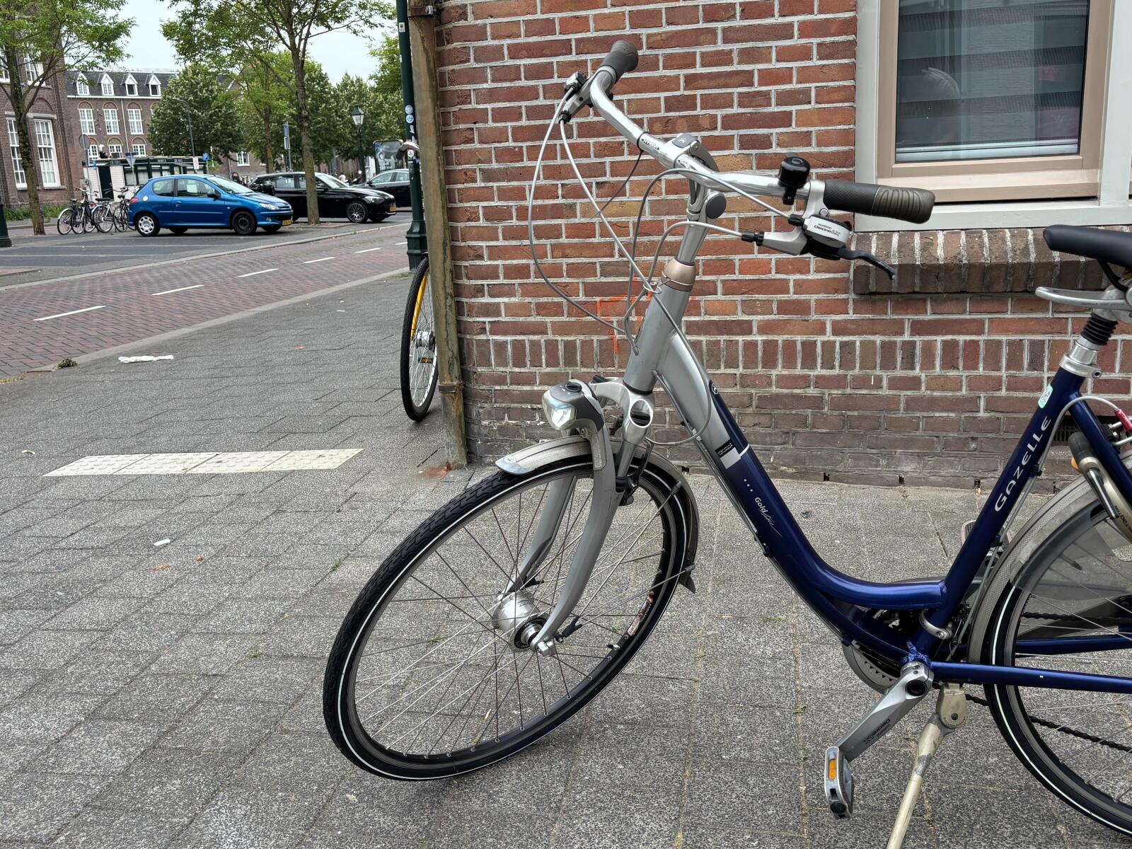 Blue Gazelle Lausanne Gold Line (3)