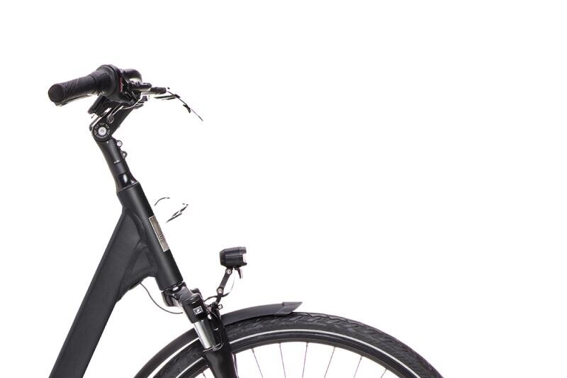BSP electric city bike 493Wh, Shimano Nexus 7, black (5)