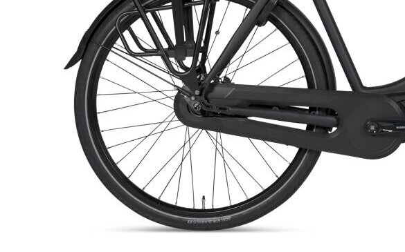 BSP electric city bike 493Wh, Shimano Nexus 7, black (3)