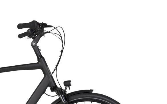 BSP electric city bike 493Wh, Shimano Nexus 7, black (4)