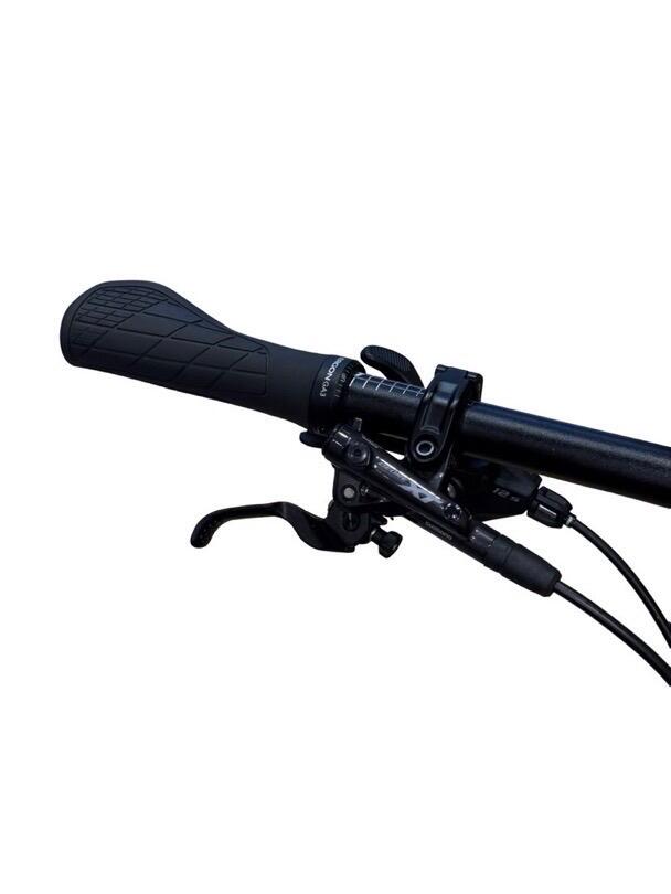 Lapierre eZesty AM 9.2 Carbon E-Mountainbike Shimano XT 20211 (4)