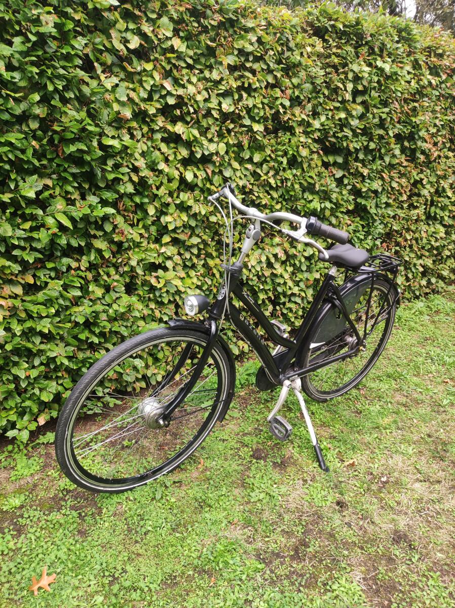 Ready for use Gazelle Xanta with 3 gears and rollerbrakes (3)
