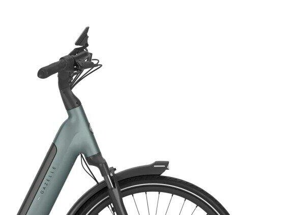 Gazelle Grenoble C310 540Wh, green (5)
