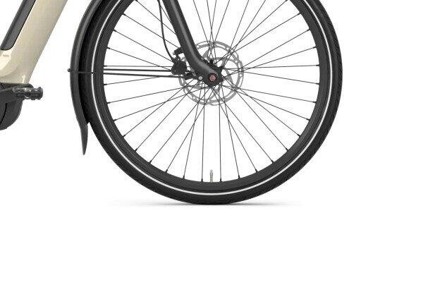 Gazelle Grenoble C5 540Wh, Shimano Nexus (4)