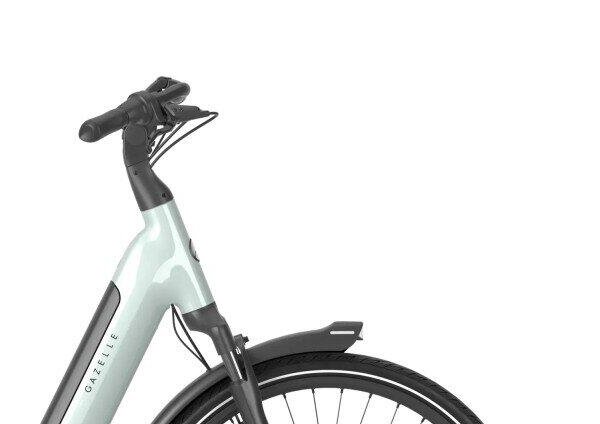Gazelle Grenoble C8 540Wh, Shimano Nexus, green (4)