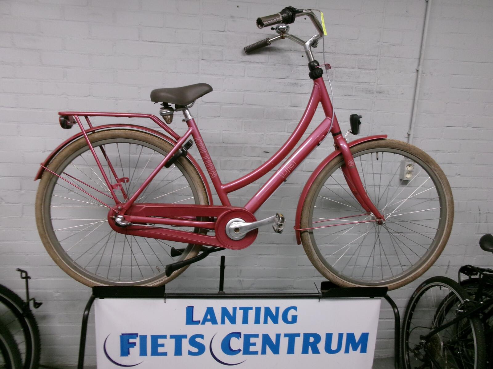 Roze Cortina U 5         50 CM