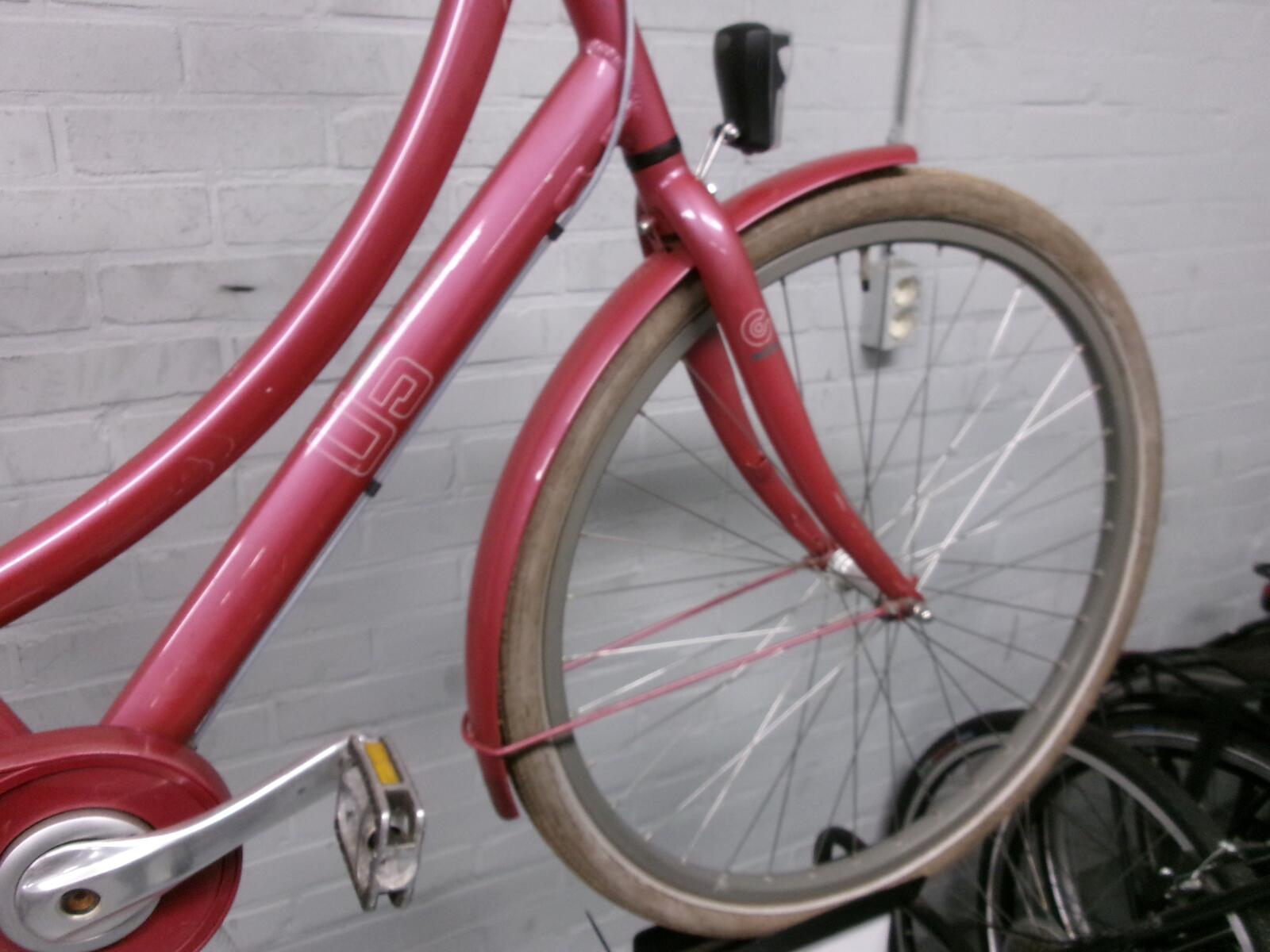 Roze Cortina U 5         50 CM (4)