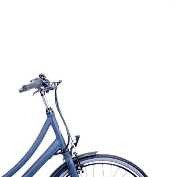 Avalon E-Base N3 D56cm. blauw mat 432Wh, blue (3)