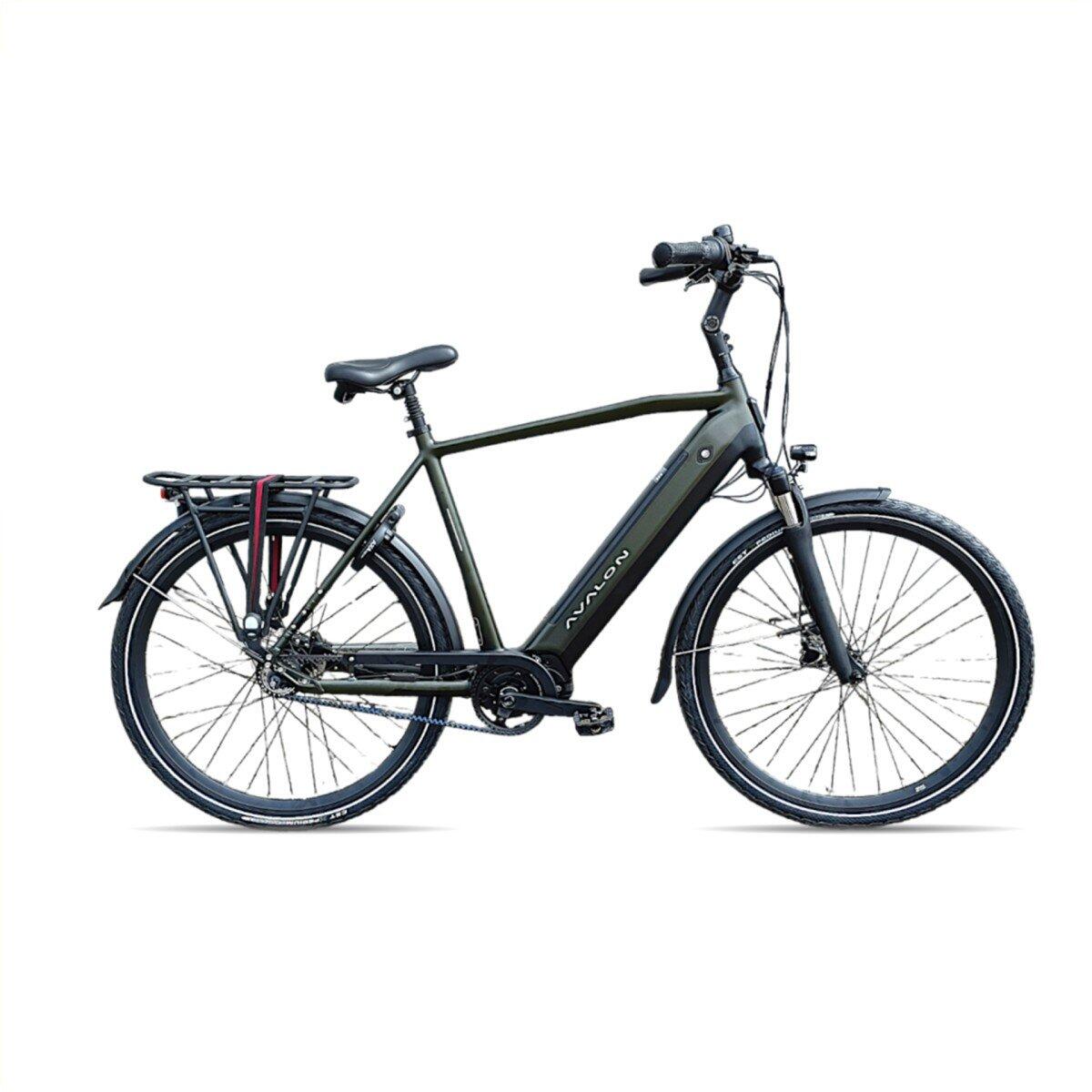 Avalon E-Pro Premium Mosgroen H58cm. 540Wh, green