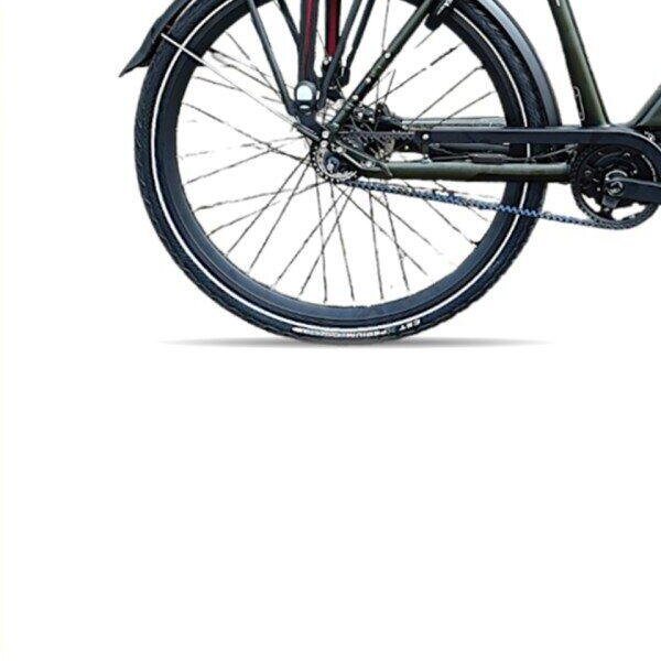 Avalon E-Pro Premium Mosgroen H58cm. 540Wh, green (5)