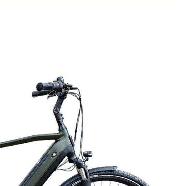 Avalon E-Pro Premium Mosgroen H58cm. 540Wh, green (4)