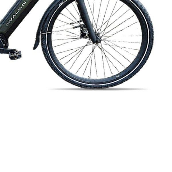 Avalon E-Pro Premium Mosgroen H58cm. 540Wh, green (3)