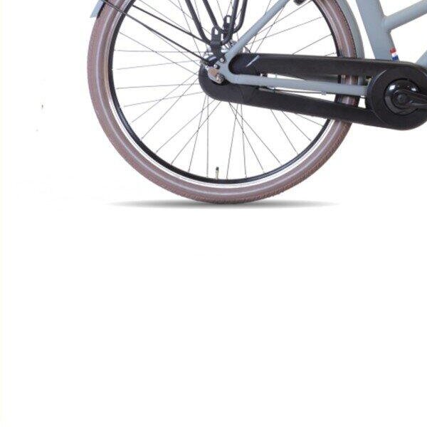Avalon E-Cargo N7 D56cm. Grijs Mat 432Wh, grey/metal (4)