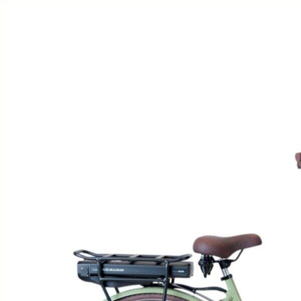 Avalon E-Cargo N7 D56cm. Slate Green Disc. 2026 model 540Wh, green (4)