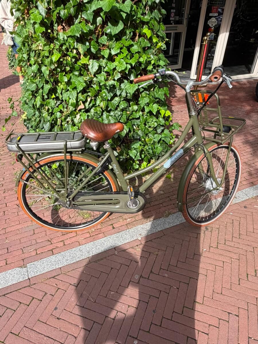 Mobion  Merit - E Groen