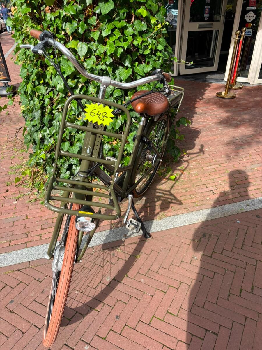 Mobion  Merit - E Groen (4)