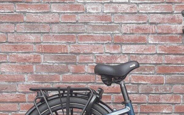 Gazelle Easyflow C7 500Wh, Shimano Nexus, green (5)