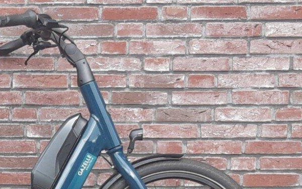 Gazelle Easyflow C7 500Wh, Shimano Nexus, green (4)