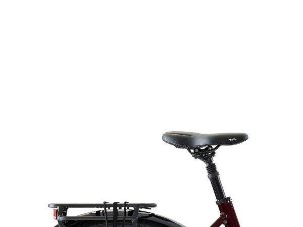 Trek District+ 3 N7 360 LS 360Wh, Shimano Nexus (4)