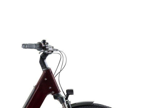 Trek District+ 3 N7 360 LS 360Wh, Shimano Nexus (3)