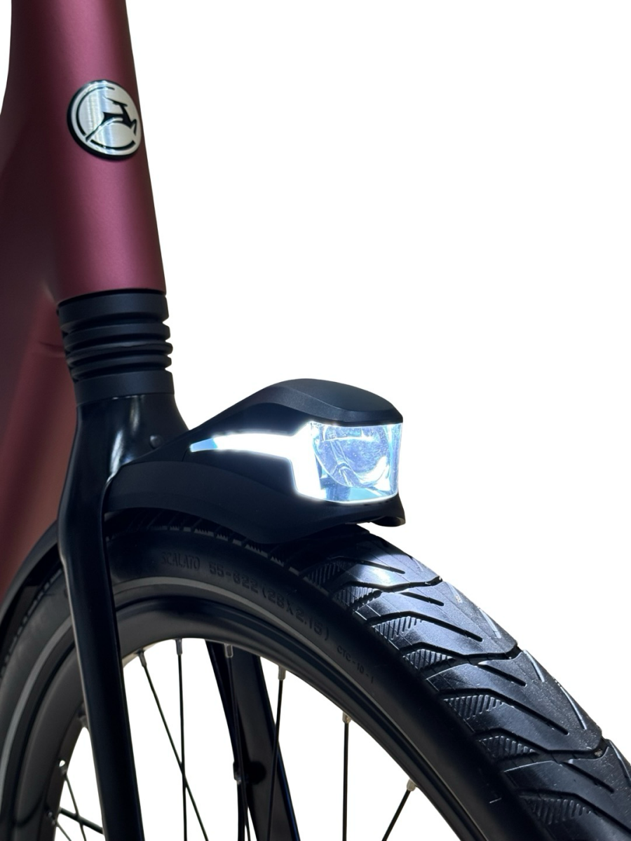 Gazelle Avignon C8 HMB E-Bike Shimano Nexus 2023 (5)
