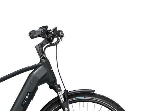 Victoria Tresalo 9 800Wh, Shimano Nexus, black (4)