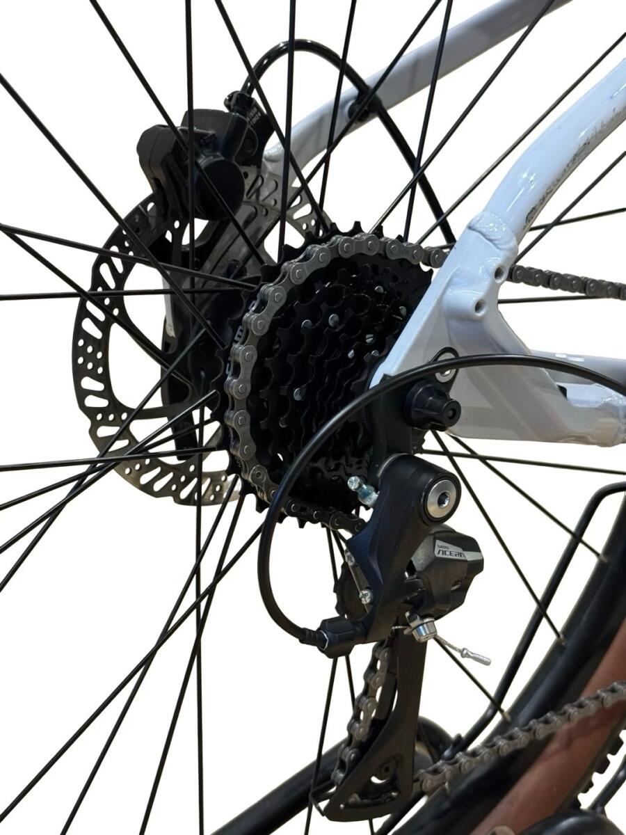 Bulls LT Performance E-Mountainbike Shimano Acera 2023 (4)