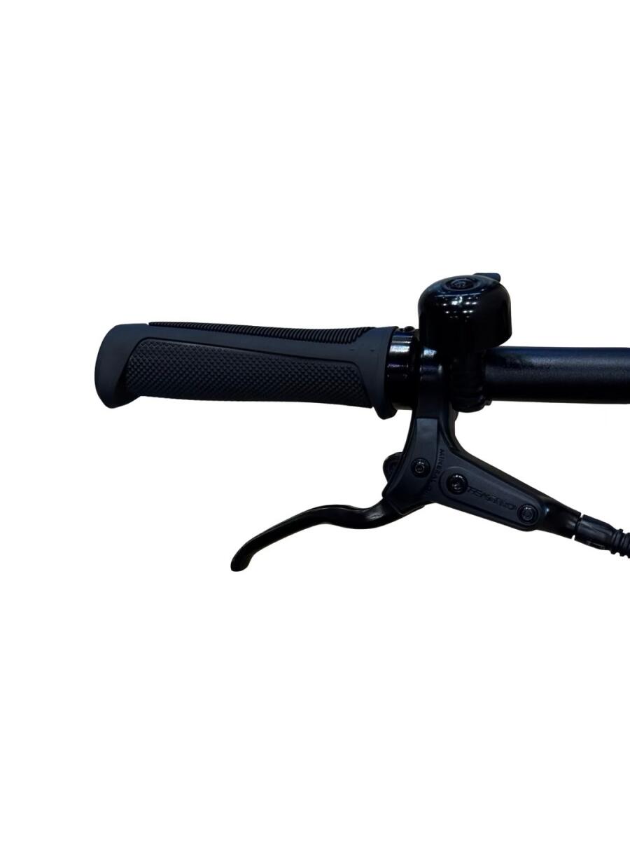 Tenways CGO600 Pro E-Bike Single Speed 2023 (5)