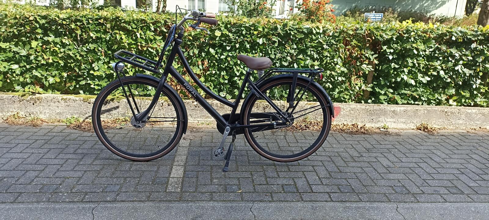 Popal Stadsfiets (3)