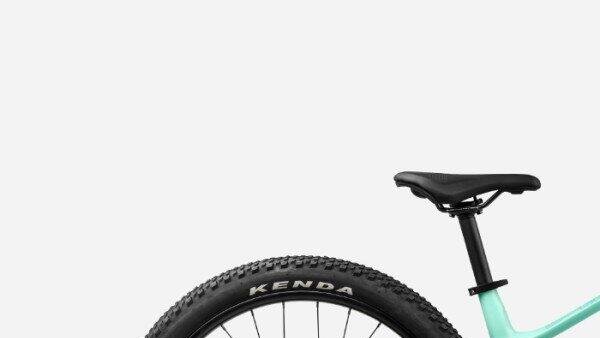 Orbea KIMU 24 H20, green (5)