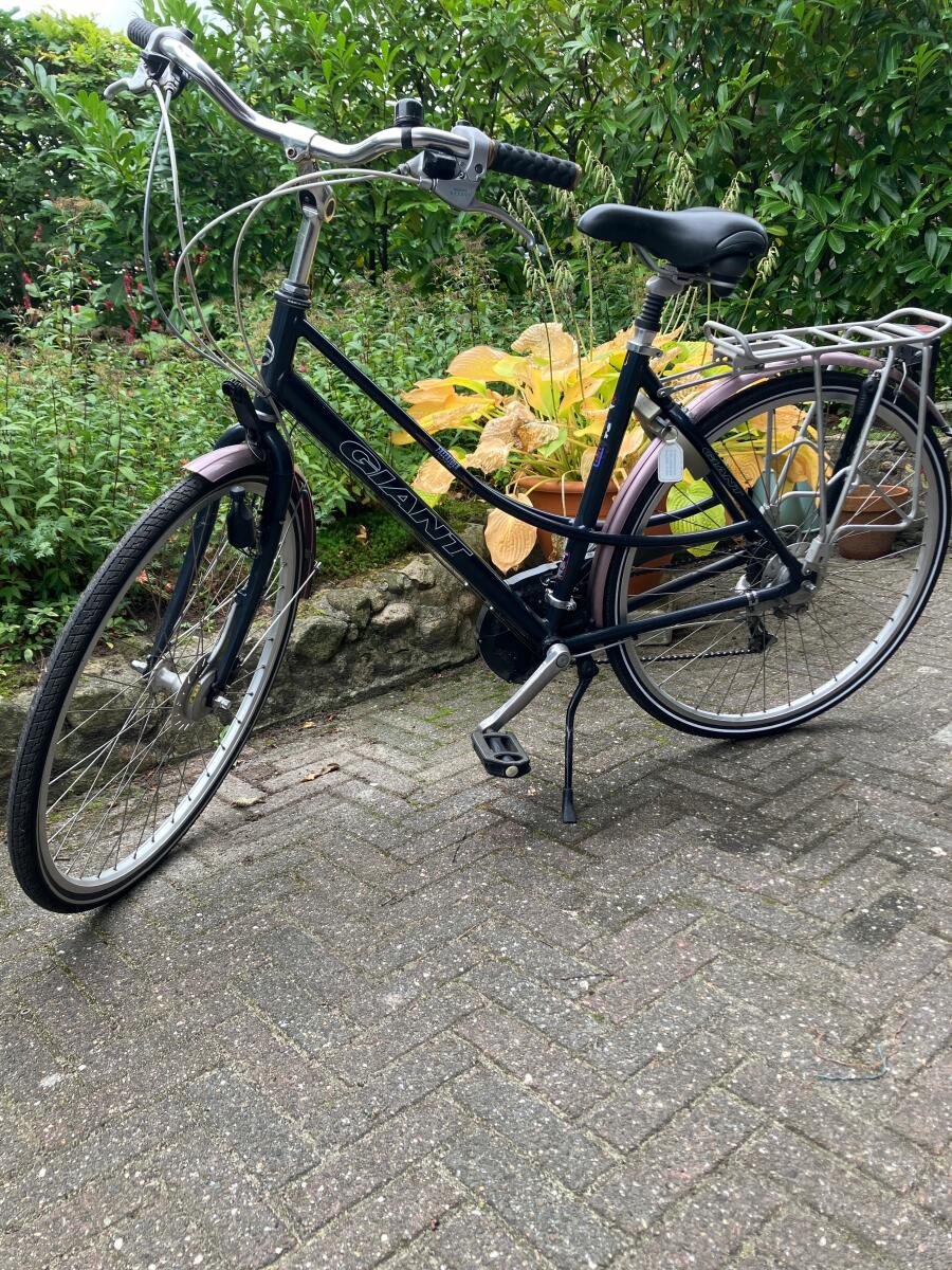 Blauw Giant Freerider (4)