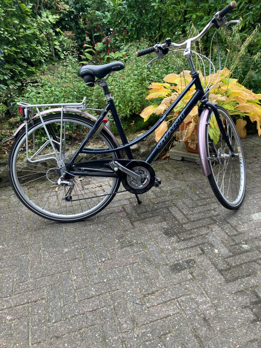 Blauw Giant Freerider