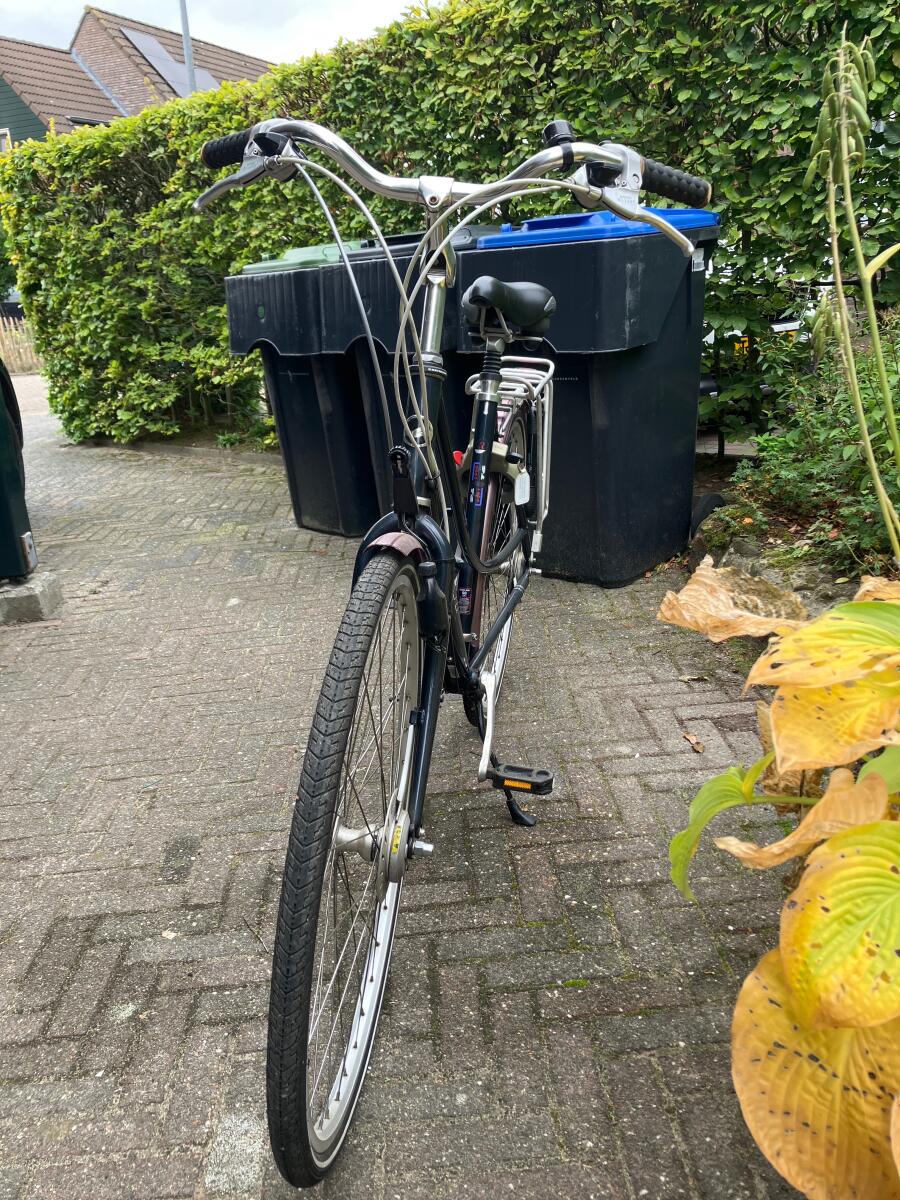 Blauw Giant Freerider (3)