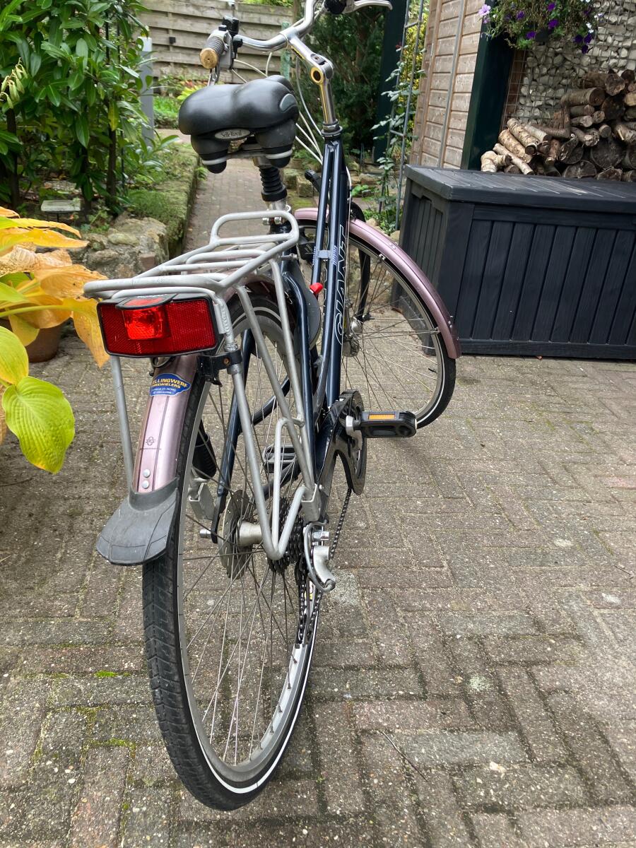 Blauw Giant Freerider (5)