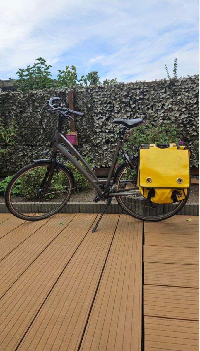 Metal/grijs Gazelle Chamonix T30 (3)