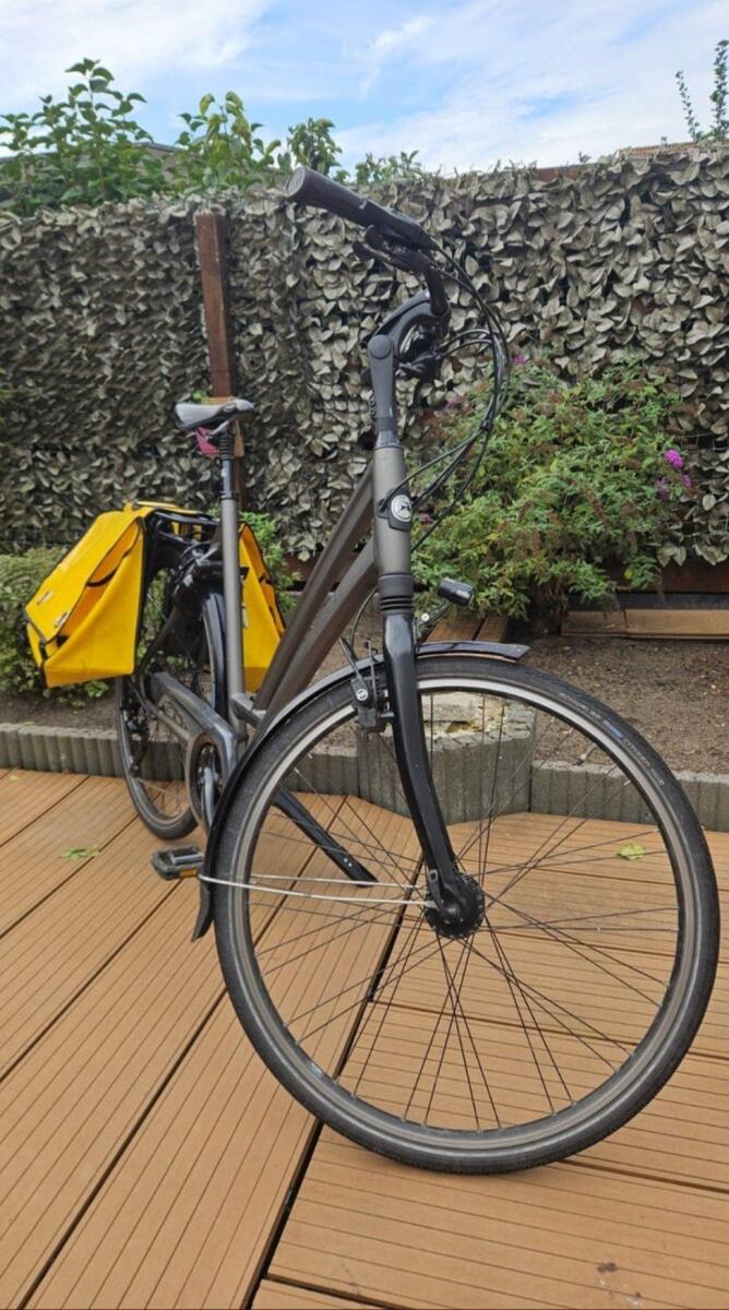 Metal/grijs Gazelle Chamonix T30 (4)