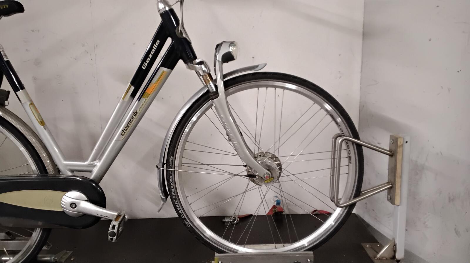 Gazelle Chamonix - 4570 (5)
