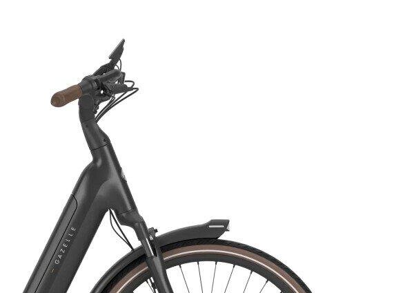 Gazelle Grenoble C5 540Wh, Shimano Nexus, black (5)