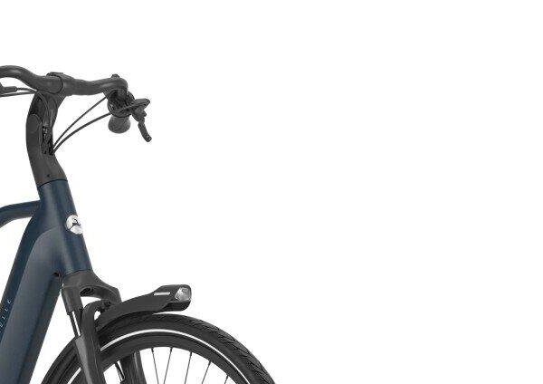 Gazelle Grenoble C8 540Wh, Shimano Nexus, blue (5)