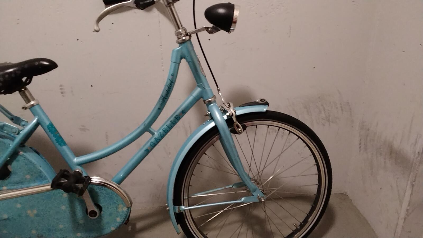 Gazelle Madelief - 4518 (5)