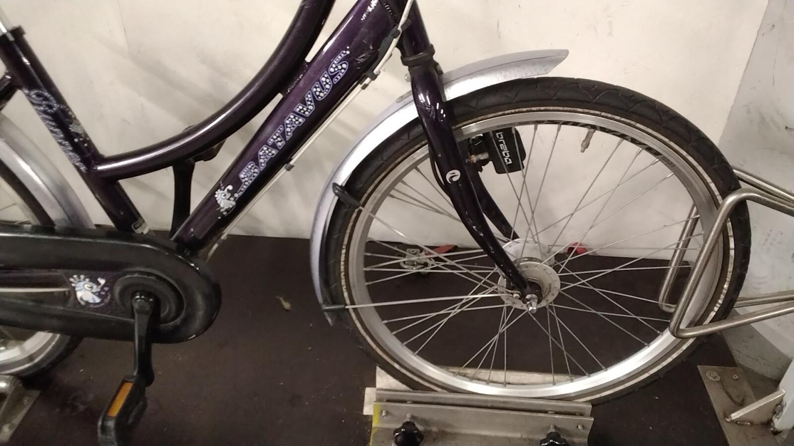 Batavus Runner - 4512 (4)