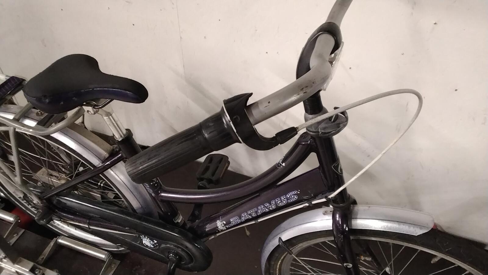 Batavus Runner - 4512 (5)