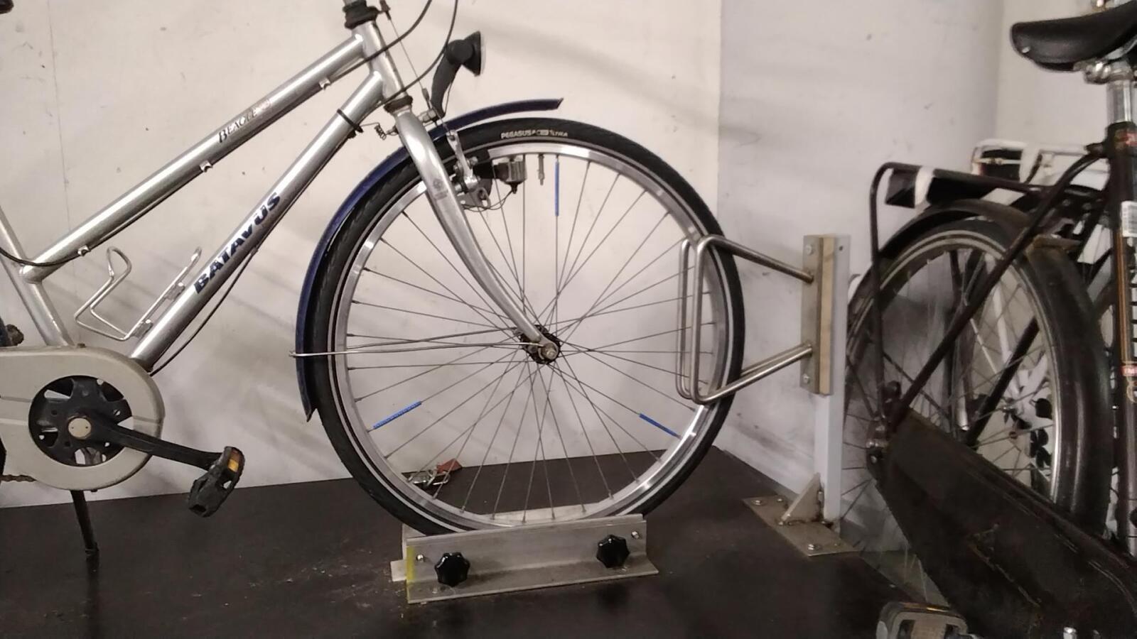 Batavus Beacle - 4390 (5)