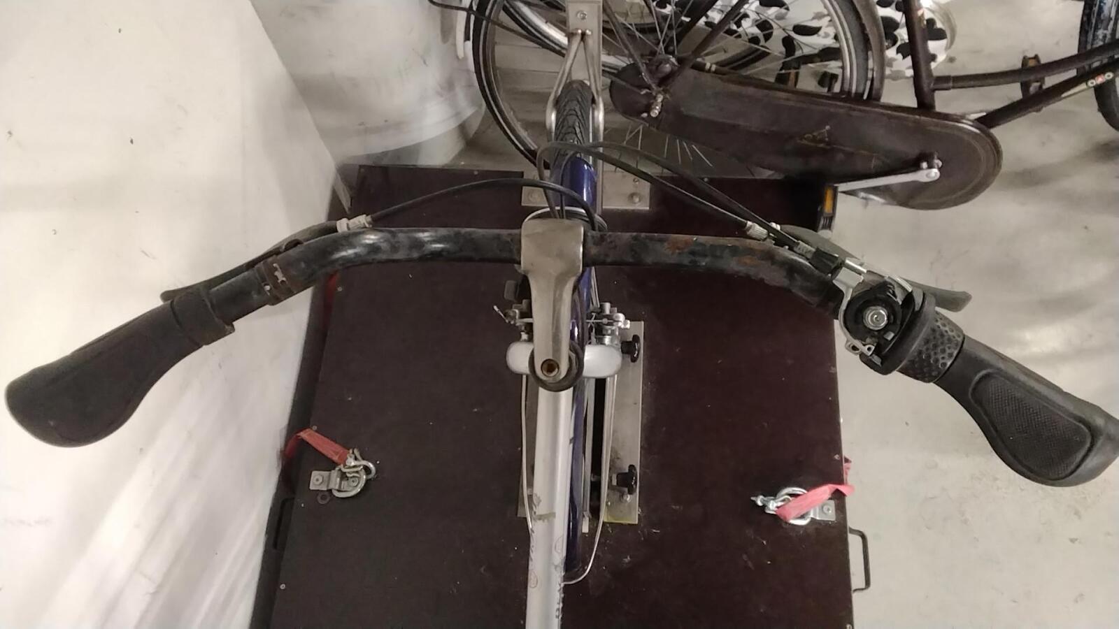 Batavus Beacle - 4390 (4)