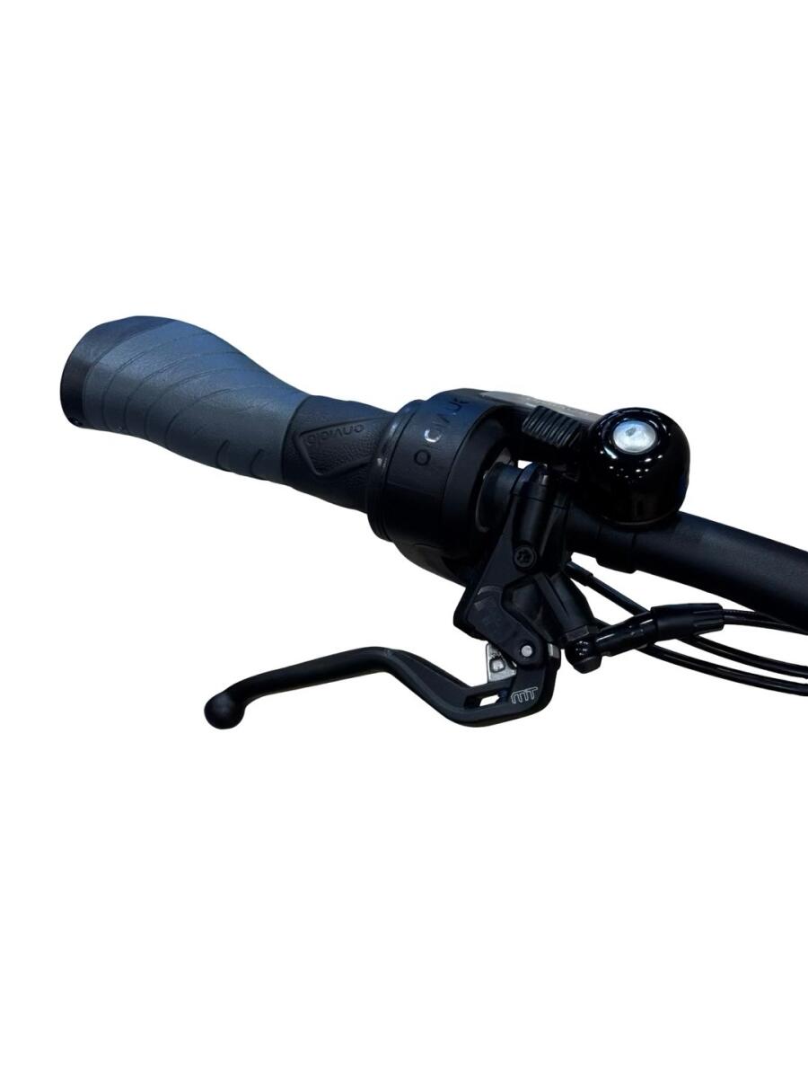 Riese & Müller Charger4 GT Vario E-Bike Enviolo 2024 (5)